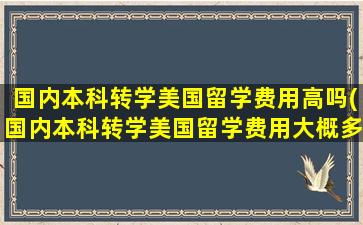 国内本科转学美国留学费用高吗(国内本科转学美国留学费用大概多少)