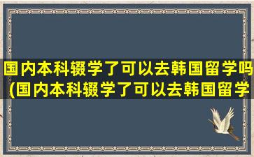 国内本科辍学了可以去韩国留学吗(国内本科辍学了可以去韩国留学吗女生)