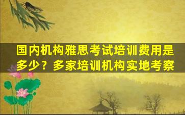 国内机构雅思考试培训费用是多少？多家培训机构实地考察