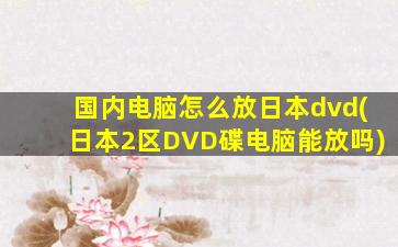 国内电脑怎么放日本dvd(日本2区DVD碟电脑能放吗)