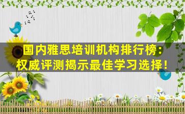 国内雅思培训机构排行榜：权威评测揭示最佳学习选择！