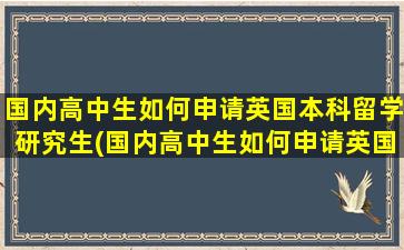 国内高中生如何申请英国本科留学研究生(国内高中生如何申请英国本科留学条件)