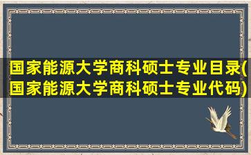 国家能源大学商科硕士专业目录(国家能源大学商科硕士专业代码)