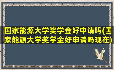 国家能源大学奖学金好申请吗(国家能源大学奖学金好申请吗现在)