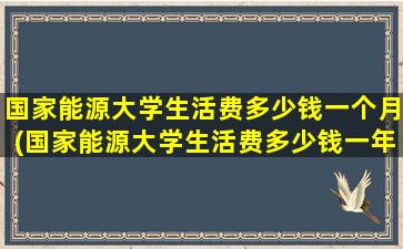 国家能源大学生活费多少钱一个月(国家能源大学生活费多少钱一年)