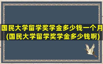 国民大学留学奖学金多少钱一个月(国民大学留学奖学金多少钱啊)