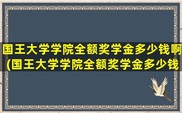 国王大学学院全额奖学金多少钱啊(国王大学学院全额奖学金多少钱一个月)