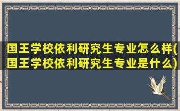 国王学校依利研究生专业怎么样(国王学校依利研究生专业是什么)