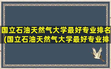 国立石油天然气大学最好专业排名(国立石油天然气大学最好专业排名)