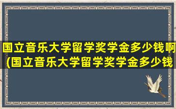 国立音乐大学留学奖学金多少钱啊(国立音乐大学留学奖学金多少钱一个月)