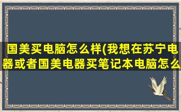 国美买电脑怎么样(我想在苏宁电器或者国美电器买笔记本电脑怎么样有保障吗)