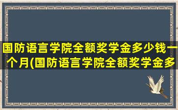 国防语言学院全额奖学金多少钱一个月(国防语言学院全额奖学金多少钱啊)