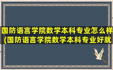 国防语言学院数学本科专业怎么样(国防语言学院数学本科专业好就业吗)