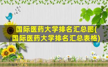 国际医药大学排名汇总图(国际医药大学排名汇总表格)