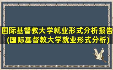 国际基督教大学就业形式分析报告(国际基督教大学就业形式分析)