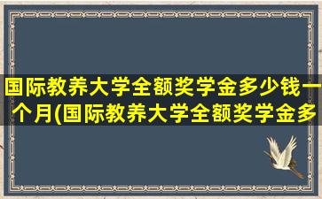 国际教养大学全额奖学金多少钱一个月(国际教养大学全额奖学金多少钱啊)