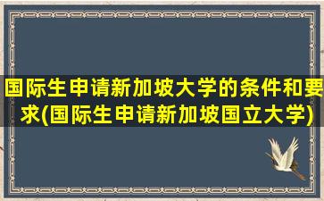 国际生申请新加坡大学的条件和要求(国际生申请新加坡国立大学)