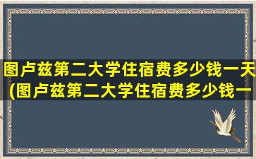 图卢兹第二大学住宿费多少钱一天(图卢兹第二大学住宿费多少钱一个月)