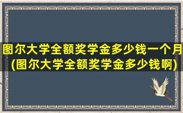 图尔大学全额奖学金多少钱一个月(图尔大学全额奖学金多少钱啊)