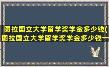 图拉国立大学留学奖学金多少钱(图拉国立大学留学奖学金多少钱一个月)