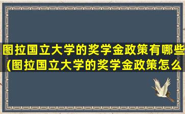 图拉国立大学的奖学金政策有哪些(图拉国立大学的奖学金政策怎么样)