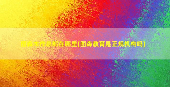 图森木作总部在哪里(图森教育是正规机构吗)