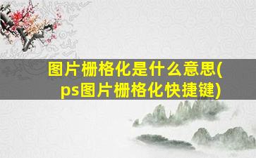 图片栅格化是什么意思(ps图片栅格化快捷键)