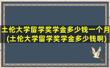 土伦大学留学奖学金多少钱一个月(土伦大学留学奖学金多少钱啊)