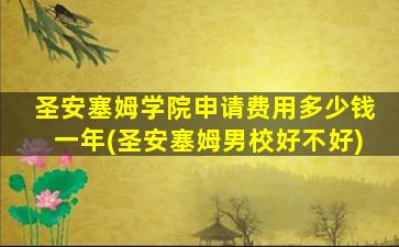 圣安塞姆学院申请费用多少钱一年(圣安塞姆男校好不好)