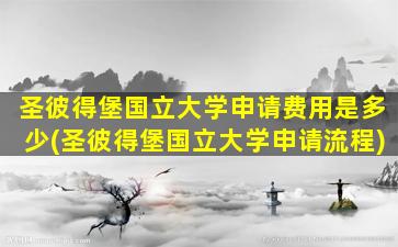 圣彼得堡国立大学申请费用是多少(圣彼得堡国立大学申请流程)