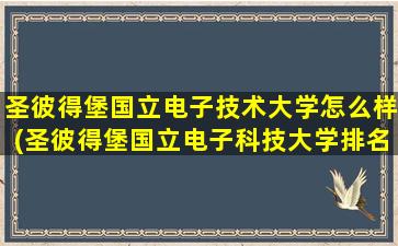 圣彼得堡国立电子技术大学怎么样(圣彼得堡国立电子科技大学排名)