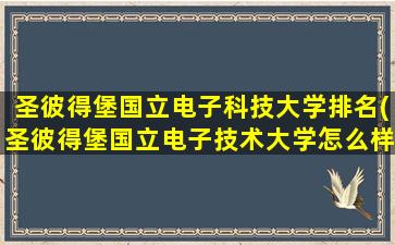 圣彼得堡国立电子科技大学排名(圣彼得堡国立电子技术大学怎么样)