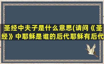 圣经中夫子是什么意思(请问《圣经》中耶稣是谁的后代耶稣有后代吗)