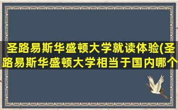 圣路易斯华盛顿大学就读体验(圣路易斯华盛顿大学相当于国内哪个大学)