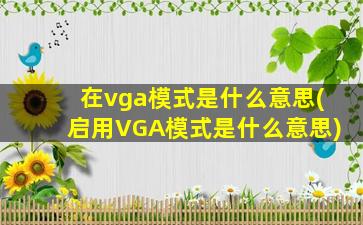 在vga模式是什么意思(启用VGA模式是什么意思)