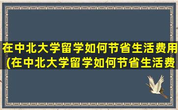 在中北大学留学如何节省生活费用(在中北大学留学如何节省生活费和学费)