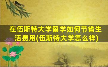 在伍斯特大学留学如何节省生活费用(伍斯特大学怎么样)