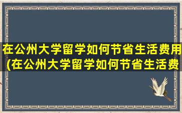 在公州大学留学如何节省生活费用(在公州大学留学如何节省生活费和学费)