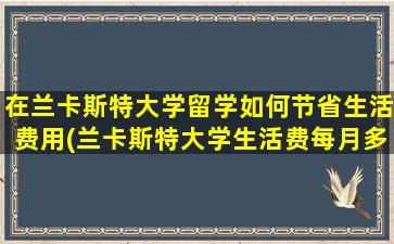 在兰卡斯特大学留学如何节省生活费用(兰卡斯特大学生活费每月多少)