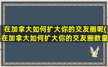 在加拿大如何扩大你的交友圈呢(在加拿大如何扩大你的交友圈数量)