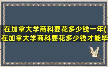 在加拿大学商科要花多少钱一年(在加拿大学商科要花多少钱才能毕业)