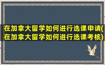 在加拿大留学如何进行选课申请(在加拿大留学如何进行选课考核)