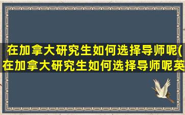 在加拿大研究生如何选择导师呢(在加拿大研究生如何选择导师呢英语)