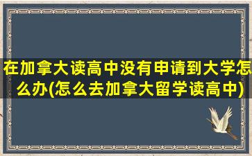 在加拿大读高中没有申请到大学怎么办(怎么去加拿大留学读高中)