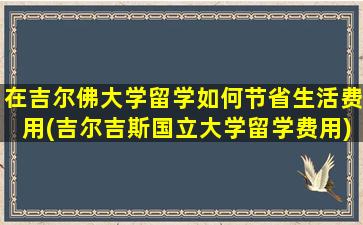 在吉尔佛大学留学如何节省生活费用(吉尔吉斯国立大学留学费用)