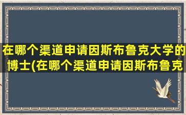 在哪个渠道申请因斯布鲁克大学的博士(在哪个渠道申请因斯布鲁克大学学位)