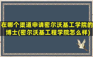 在哪个渠道申请密尔沃基工学院的博士(密尔沃基工程学院怎么样)