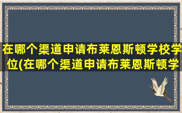 在哪个渠道申请布莱恩斯顿学校学位(在哪个渠道申请布莱恩斯顿学校毕业)