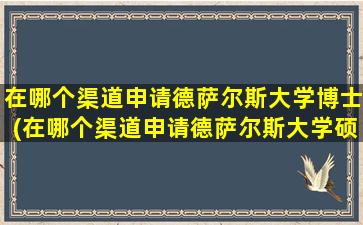 在哪个渠道申请德萨尔斯大学博士(在哪个渠道申请德萨尔斯大学硕士)