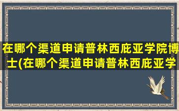 在哪个渠道申请普林西庇亚学院博士(在哪个渠道申请普林西庇亚学院硕士)